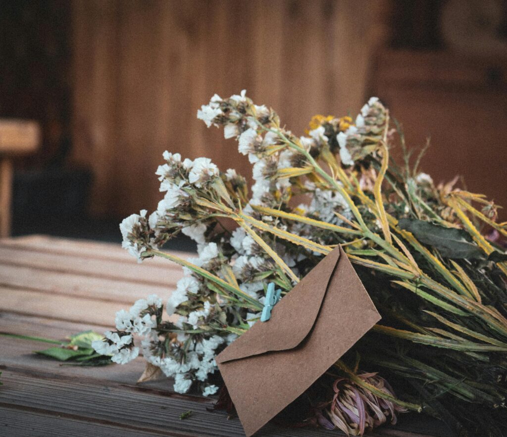 pexels restinwest 3186449 33794166 pexels restinwest 3186449 33794166